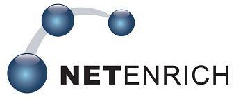 NetEnrich Logo
