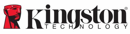 Kingston Technology Logo